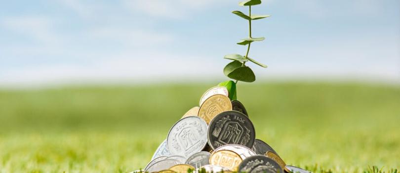 Mutual Funds Mutual Funds
